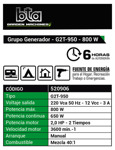 Grupo Generador Electrogeno Bta 2t 800w G2t-950