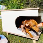 Cama para mascotas Ámbar Blanco y Báltico 