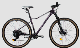 Bicicleta  Mtb Aluminio 400 Pro R29 Lady 2023