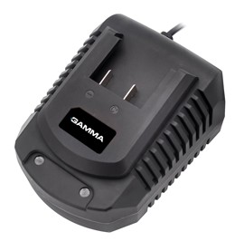 Cargador De 20V Rápido  G12492ar