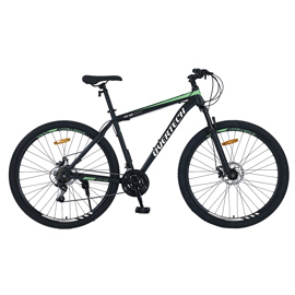 Bicicleta Mtb  R29 Q5 Acero 21V Freno A Disco Color ...