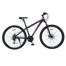 Bicicleta Mtb  Q5 R29 Acero 21V Freno A Disco Negro ...